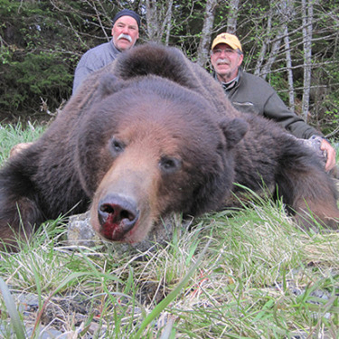Alaska Brown Bear Hunts