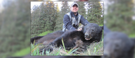 Alaska Black Bear Hunts
