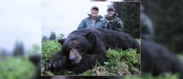 Alaska Black Bear Hunts
