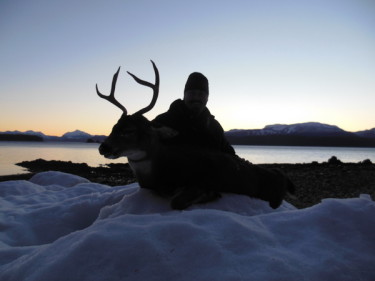Sitka Blacktail Deer