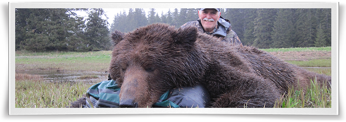 alaska-brown-bear-hunting-form