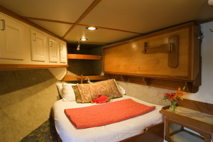 Alaska Hunting suite