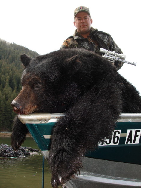 Alaska Black Bear Hunting