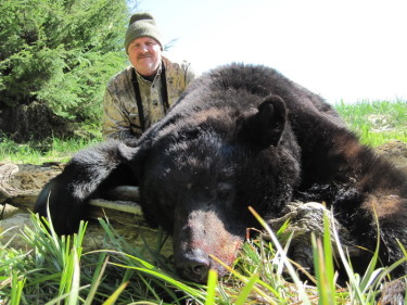 Alaska Black Bear Hunting