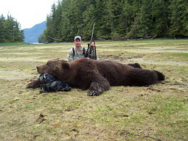 Alaska Brown Bear Hunting