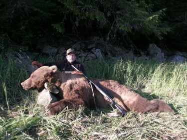 Alaska Brown Bear Hunting