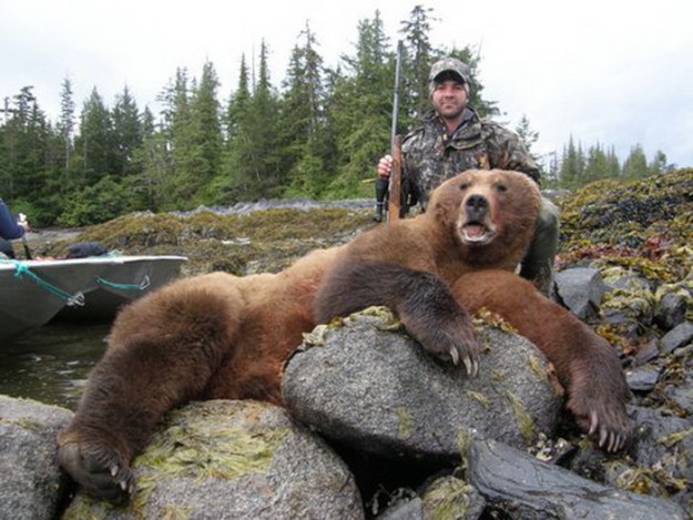 Alaska Brown Bear Hunting