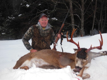 Alaska Sitka black tail deer