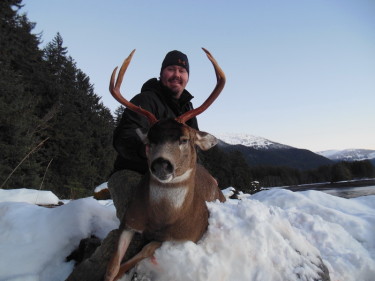 Alaska Sitka black tail deer