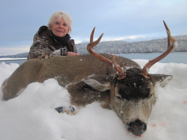 Alaska Sitka black tail deer