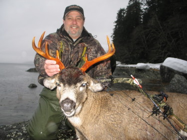 Alaska Sitka black tail deer